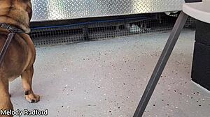 Join my gold coast holiday vlog with this curvy aussie milf flaunting her huge fake tits on the beach