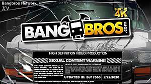 Tattooed brunette performs smooth blowjob in casual setting