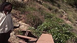 Lauren Phoenix Sits Deep on Black Cock in Fishnets Doggystyle