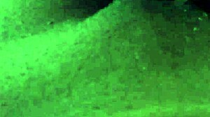 hey daddy did my horny ebony stepsis beg for your head?