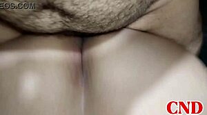 My huge ass brazilian girlfriend screams riding cowgirl reverse in dorm bed