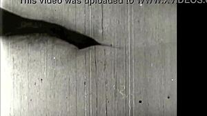 vintage hairy beaver teases in retro erotic vibes