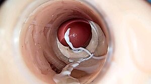 Peek at Grandpas and Grannies' Steamy Cumshot Compilations