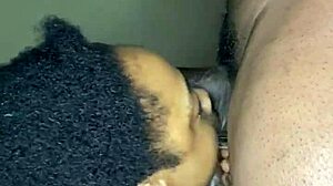 bbw slut sucks stepbro's huge cock cuz rent's overdue and she's desperate