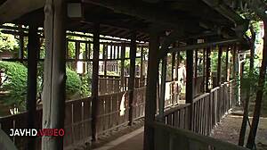 hey, this seductive japanese mommy's deep blowjob leads to wild titty fuck frenzy