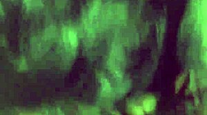 Spanish milf drops to knees for deep eager blowjob in bedroom