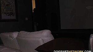 Marica Hase tempts with her tight Asian ass on BBC