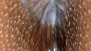 Panties aside for wet latina milf's hairy pussy creampie closeup explosion