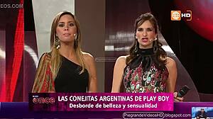 little argentinian bunnies bounce into peruvian adventures full of playful vibes.