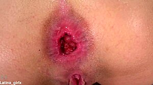 latina takes double penetration anal creampie with big cocks