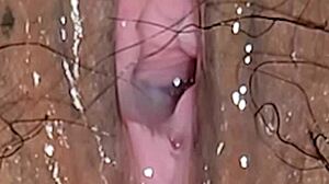 Panties aside for wet latina milf's hairy pussy creampie closeup explosion