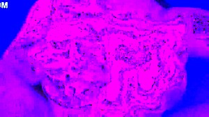 Latina milf bends over big ass for rough doggystyle in swinger club quickie!