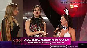 little argentinian bunnies bounce into peruvian adventures full of playful vibes.