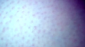 Sabrosa Gordibuena pounded raw!