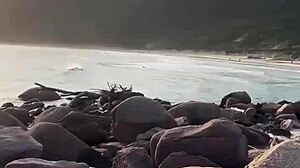 WATCH this pink-pussy wife FUCK a hung stud bareback on nudist beach—hubby watches??