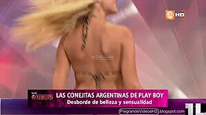 little argentinian bunnies bounce into peruvian adventures full of playful vibes.