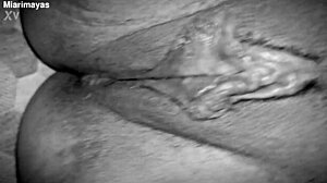 thick dominican bbw pounded doggystyle missionary cum filled