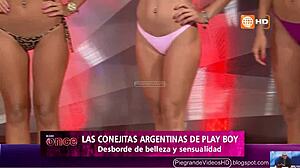 little argentinian bunnies bounce into peruvian adventures full of playful vibes.