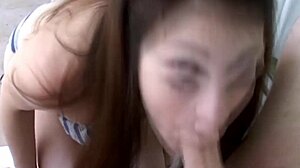 Young bikini babe delivers cute blowjob action