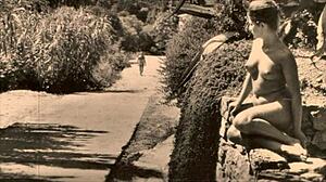 i cherish vintage mother nature's timeless beauty