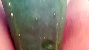 WOW I Spread Legs No Panties Shaved Pussy Cucumber Fuck Squirts Hard