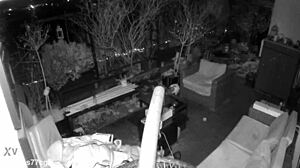 M4rkus77cgn's spy cam catches him stroking huge cock outdoors till he moans and explodes