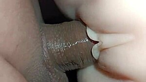 Creampie Chaos Every Position Deep