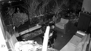 M4rkus77cgn's spy cam catches him stroking huge cock outdoors till he moans and explodes