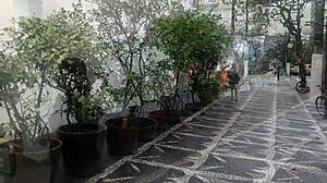 i hunted dick at mall playland then fucked el toro in bathroom with paty bumbum