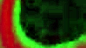 omg natalia starr skips cock for her massive dildo plunging that milf pussy lips deep!