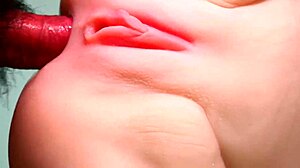 feels so good stuffing this fuck doll's tight shaved ass with toys