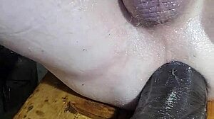 huge dildos stretch mature oiled ass wide