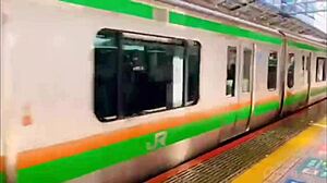 Tochigi Strawberries and Hot Springs Nacchi Trip