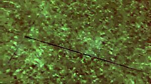 The asian husband rips his wife's pants in the kitchen