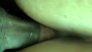 Thick fat ass girl bounces hard on black cock