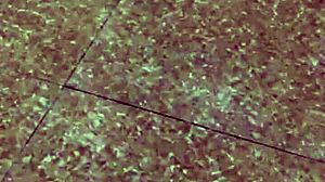 The asian husband rips his wife's pants in the kitchen