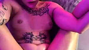 horny tattooed nerd latina slut spreads pussy for pov licking