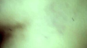 i pounded married ass raw in pinheiros motel hotel bed