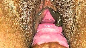 wanna taste this latina's dripping wet pussy up close?