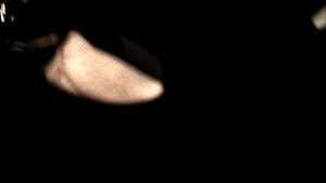 i'm the masked sub on leash begging sadistic mistress in heels pov...