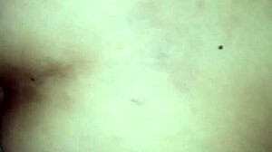 i pounded married ass raw in pinheiros motel hotel bed