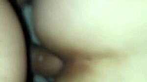 i pounded married ass raw in pinheiros motel hotel bed