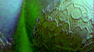 curvy milf seduced into hardcore pussy fucking and strapon lesbian action