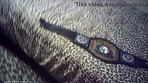 behind the scenes of pornstar champion wrestling ebony babe in full nelson then bj and sex