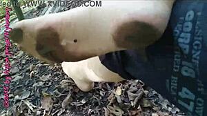 wanna join my little nylon walk flashing pantyhose in the forest?