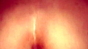 quick creampie fuck for my hot cuñada hidden