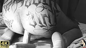 famous singer spreads wide for mega vaginal toy deep in her pussy on trailer.