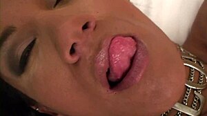 Watch latina transsexual aline ganzarolli tease her cock while toying her ass seductively