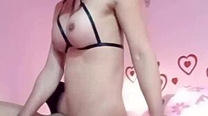 icy nokyung bends over as her pink ass takes a hardcore thai shemale pounding