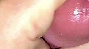 Arab wife blowjob fingering handjob then hardcore fucking